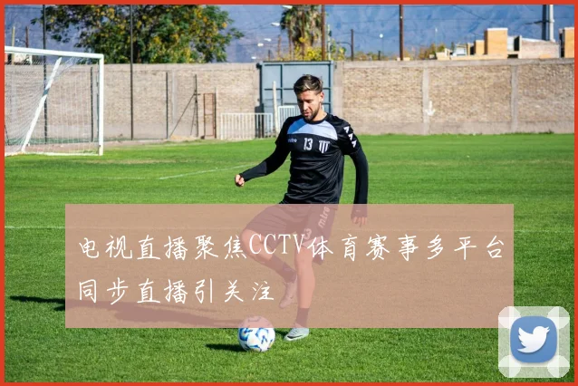 电视直播聚焦CCTV体育赛事多平台同步直播引关注