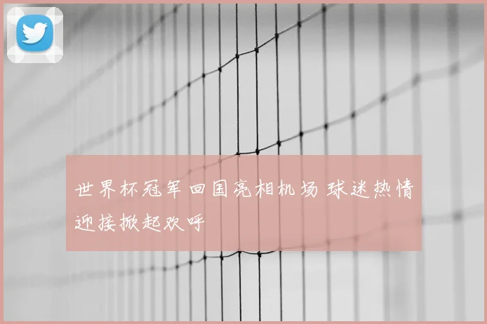 世界杯冠军回国亮相机场 球迷热情迎接掀起欢呼